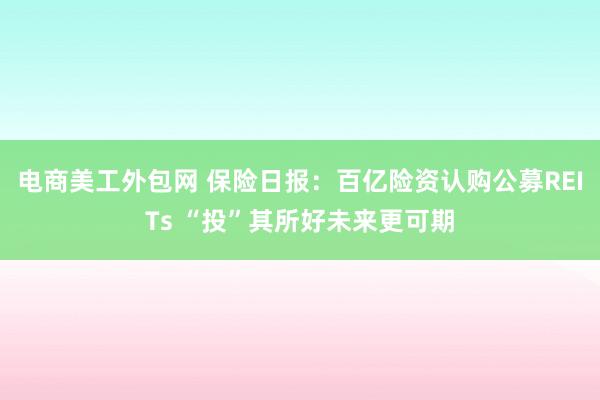 电商美工外包网 保险日报：百亿险资认购公募REITs “投”其所好未来更可期