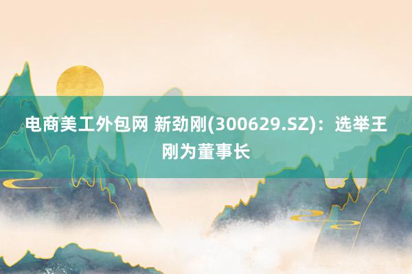 电商美工外包网 新劲刚(300629.SZ)：选举王刚为董事长