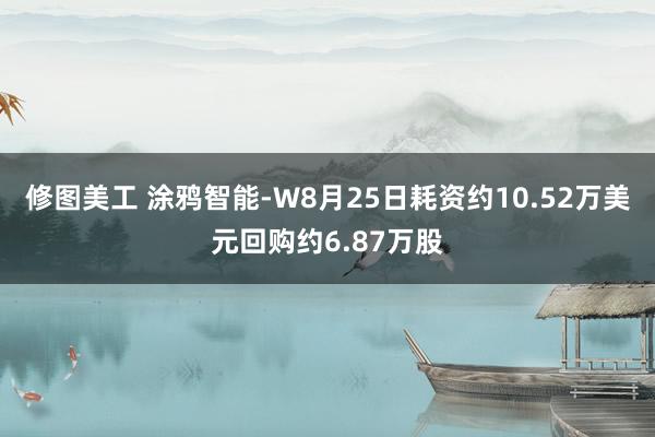 修图美工 涂鸦智能-W8月25日耗资约10.52万美元回购约6.87万股