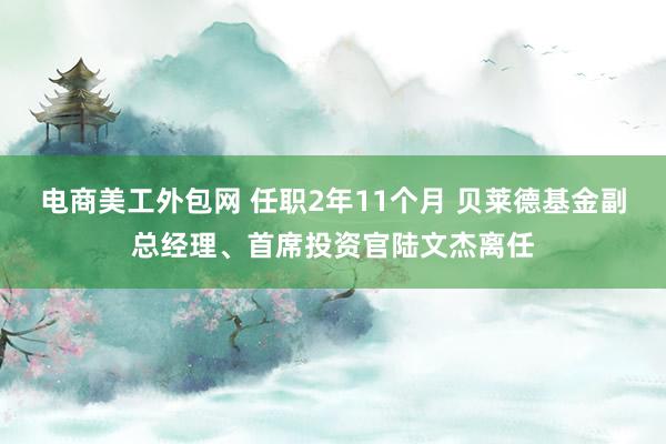 电商美工外包网 任职2年11个月 贝莱德基金副总经理、首席投资官陆文杰离任