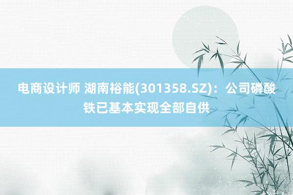 电商设计师 湖南裕能(301358.SZ)：公司磷酸铁已基本实现全部自供