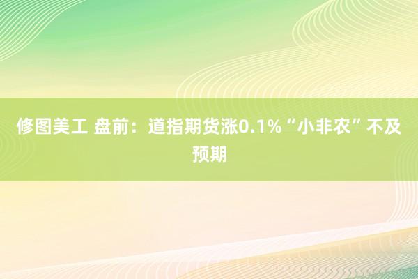 修图美工 盘前：道指期货涨0.1%“小非农”不及预期